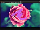 Pixelmator 3.1