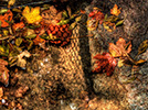 HDR , کاربرد و عملکرد آن